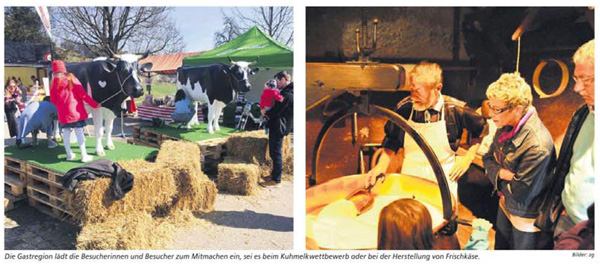 Bremgarter-Bezirks-Anzeiger_bild